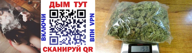 Каннабис сатива Геленджик